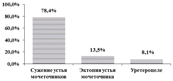 Рис 1. Распределение больных по характеру порока развития уретеровезикального сегмента