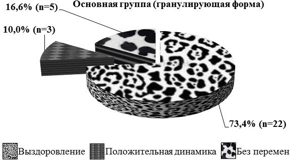 Рис. 6. Распределение больных по результатам лечения в основной группе с гранулирующей формой хронического периодонтита.