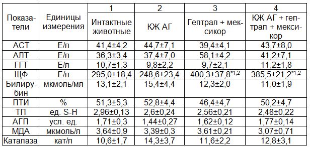 Таблица 2. Функциональная активность гепатоцитов, состояние процессов ПОЛ и активность каталазы при введении культуральной жидкости аллогенных гепатоцитов, гептрала и мексикора интактным животным (M&plusmn;m)