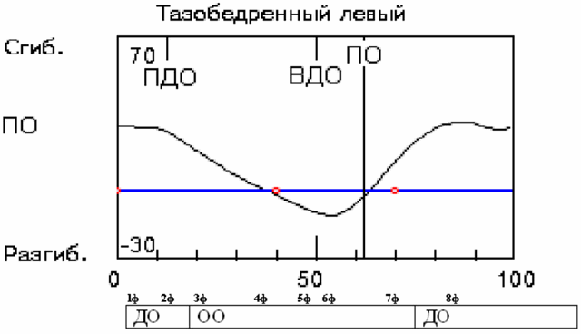  Рис. 2. Гониограмма нормального тазобедренного сустава (Скворцов Д.В., 2007).