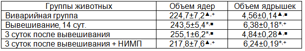 Таблица 3. Морфометрические показатели ядерного аппарата гепатоцитов крыс (в мкм3)