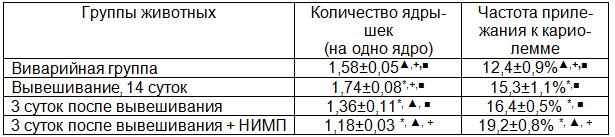 Таблица 4. Содержание ядрышек в ядрах гепатоцитов (на одно ядро) и частота их прилежания к кариолемме (% от общего числа ядер) в печени крыс