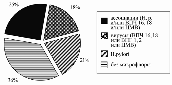 Рис. 1. Микрофлора желудка и двенадцатиперстной кишки у детей с хроническим гастродуоденитом.