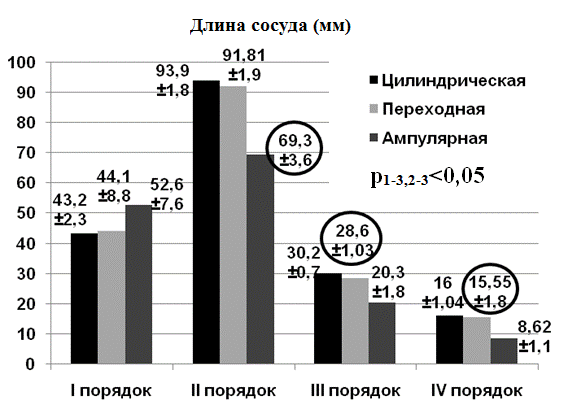 Рис. 6. Показатели длин вен портальной системы лиц с различной формой прямой кишки (N=40) Рис. 6. Показатели длин вен портальной системы лиц с различной формой прямой кишки (N=40)