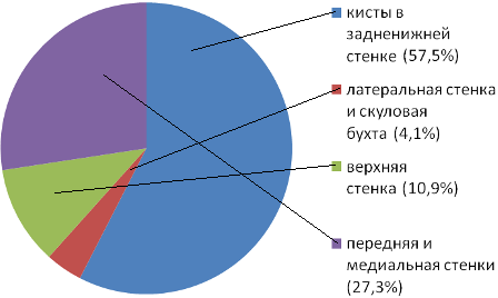 Рис. 2. Локализация кист в верхне-челюстных пазухах.