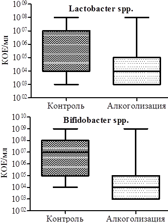 Рис. 1. Динамика сахаролитической микрофлоры (Bifidobacterium spp., Lactobacterium spp.) в фекалиях крыс при моделировании хронической 40-дневной алкоголизации.