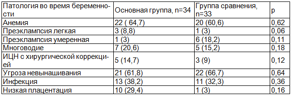 Таблица 3. Осложнения во время беременности, абс. (%)