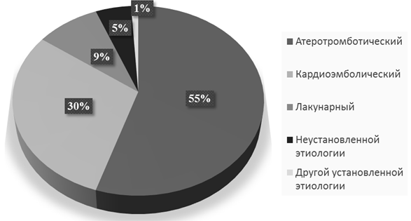 Рис. 1. Патогенетические подтипы ишемического инсульта в г. Омске.